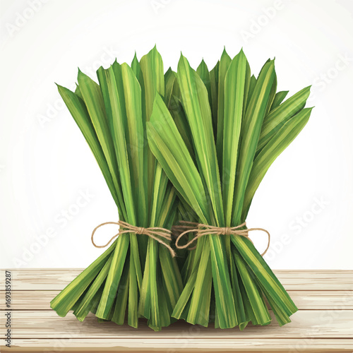 Closeup of a bunch of pandan leaves tied together.