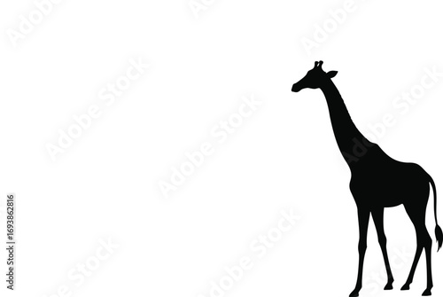 Giraffe Silhouette PNG Transparent Clip Art.