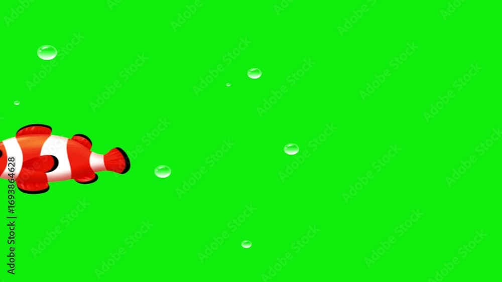 Underwater fish swimming animation on green screen. Underwater fish swimming animation on green screen.