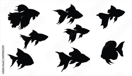 Aquarium fish silhouettes, goldfish vector icons, tropical pet fish, black aquatic animal clipart, swimming fish illustrations
