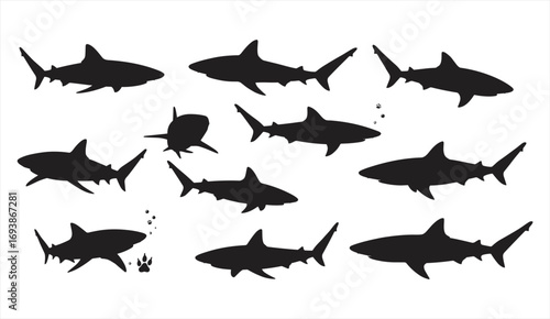 Shark silhouette vector set, swimming shark illustration, ocean predator fish, marine animal graphic clipart