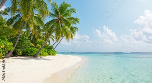 Serene Tropical Beach: White Sand, Turquoise Water, and Lush Palm Trees