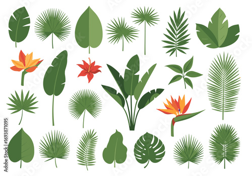Collection of exotic tropical plants and flowers with lush green leaves