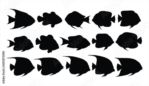 Silhouettes of tropical aquarium fish collection, angelfish and cichlid shapes, black fish clipart set