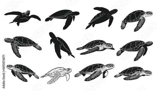 Sea turtle silhouettes and vectors, swimming marine animal illustrations, ocean reptile clipart, aquatic wildlife design