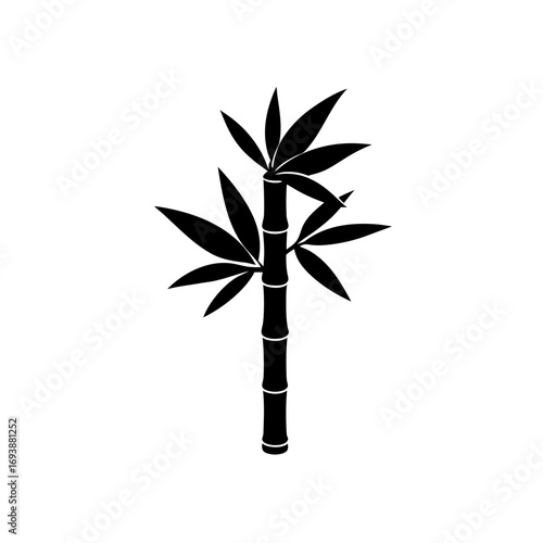 Silhouette of a bamboo stalk with leaves on transparent background