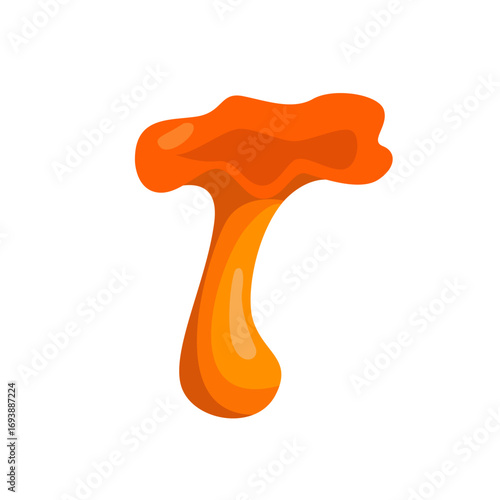 Chanterelle mushroom isolated on white. Autumn seasonal food. Vector flat illustration.