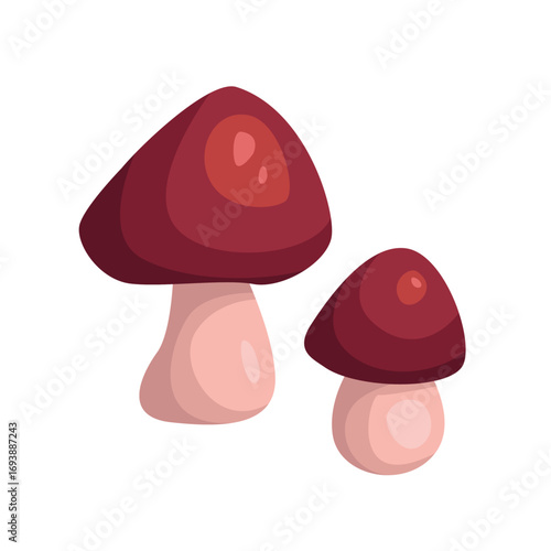 White mushroom isolated on white. Autumn seasonal food. Vector flat illustration.