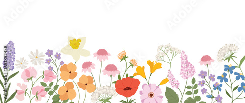Colorful flower hand drawn on white background vector. Natural botanical elegant floral with leaves branch, poppy, wildflower. Luxury illustration for wall decor, wallpaper, cover, banner, package.