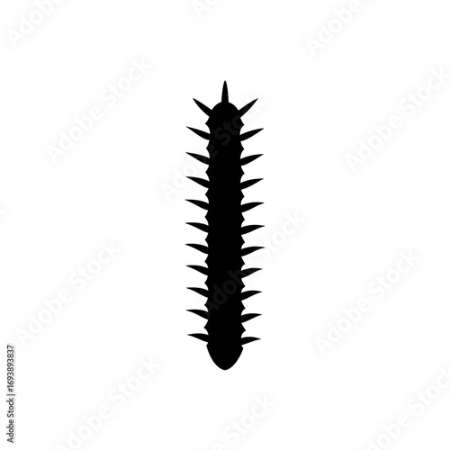 Silhouette of a centipede bug on transparent background