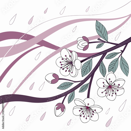 Elegant cherry blossom branch illustration with purple hues and delicate details, creating a serene and artistic composition