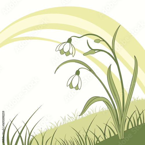 Illustration of snowdrop flowers in a field, creating a serene and natural scene the composition evokes a sense of tranquility