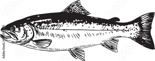 Vintage Fish engraving outline vector art illustration design, Fish silhouette, hand drawn, line art fish design