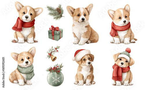 Christmas and New Year watercolor dog clipart set for cards and kids projects. Cute corgi puppies in scarves and winter hats. Collection of Vector illustrations. Perfect for invitation, card, poster