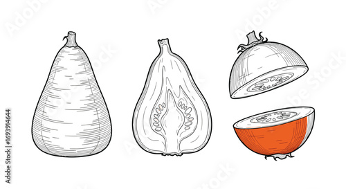Illustration of a whole pear shape fruit its longitudinal section and sliced halves showing internal texture and vibrant flesh