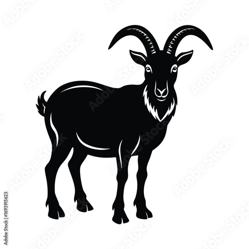 Himalayan Blue Sheep