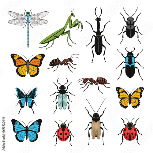 A vibrant collection of insects showcasing diverse forms and colors found in nature
