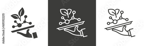 flat and linear set icons, experiment with molecule food icon, experience molecular gastronomy, service kitchen, simple symbols on white and black background - editable stroke vector illustration