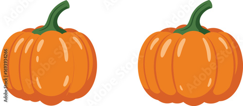 two pumpkins side by side with green stems