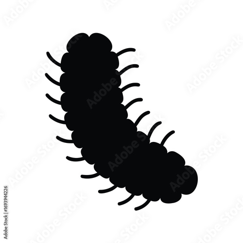 Silhouette of a millipede or centipede with visible legs on white background
