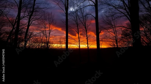 Silhouetted trees frame a vibrant orange and purple sunset