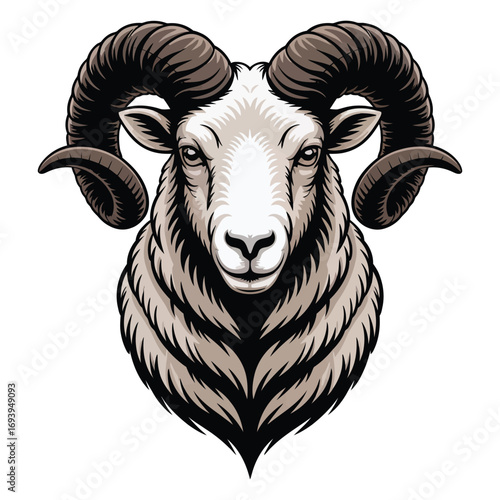 black sheep ram