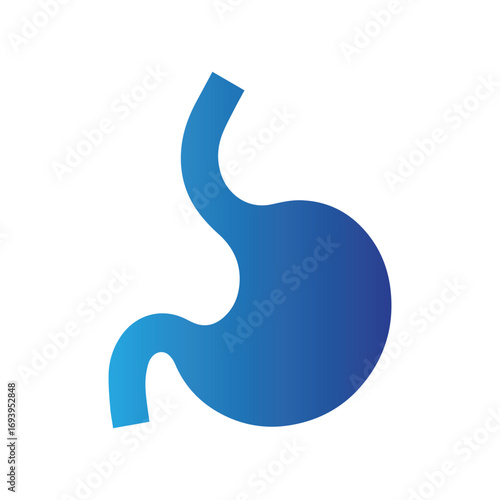 Clean flat stomach vector representing digestive organ