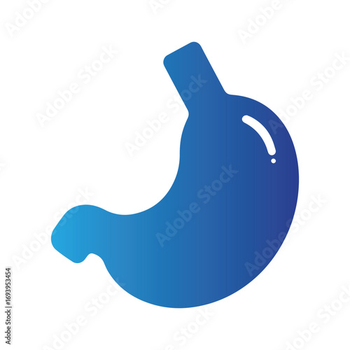 Detailed anatomical illustration of human stomach in green color