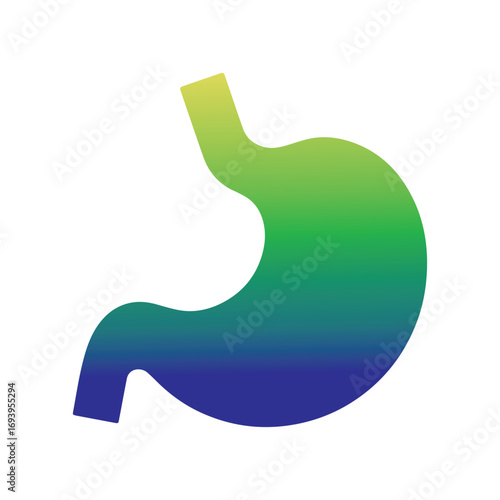 Detailed internal illustration of stomach wall layers