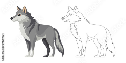 Wild gray wolf cartoon in two styles — colorful and outline version. Vector illustration of forest predator animal isolated on white background. Perfect for children’s books, design, and print.