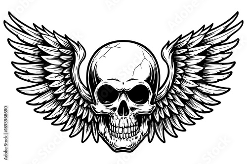 Winged Skull Illustration