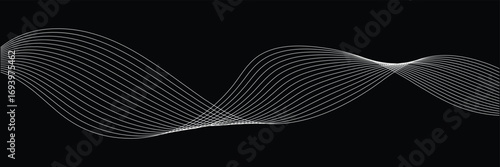 abstract wave lines on white  background  . Vector Illustration of the gray pattern of lines abstract background. eps 10