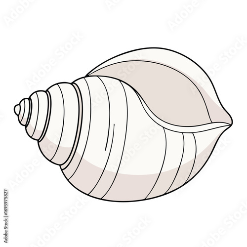 Simple cartoon illustration of a light spiral conch seashell.