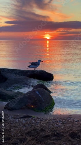 Sunset sky reflecting in the Baltic sea, view from the sandy shore in Sweden.