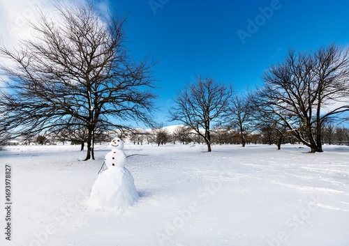 Snow man in the trees in Africa