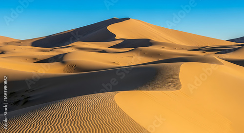 Beautiful Desert Sand Dunes