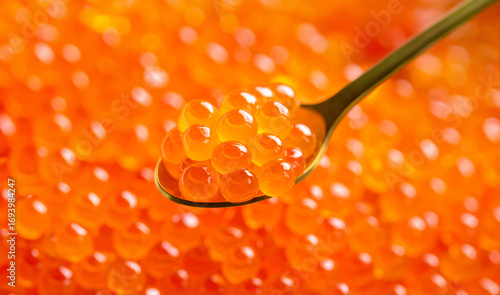 Fresh Salmon Roe on White Spoon, Close-up of Ikura with Vibrant Orange Color

