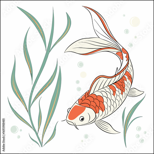 
Hand drawn koi illustration