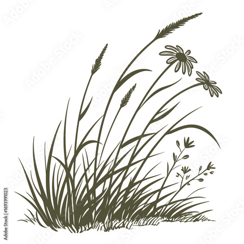 Close-up macro of fresh green grass blades on a white isolated background
