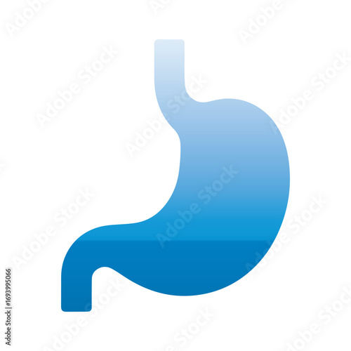 Stylish Stomach Illustration for Digestive Medical and Wellness Campaign Promotion