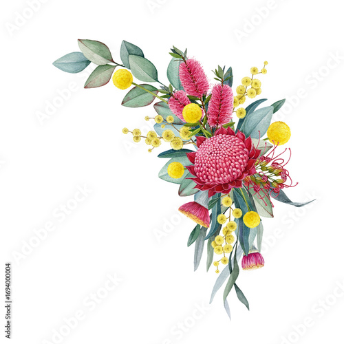 Photos Australia native flowers floral decor on white background
