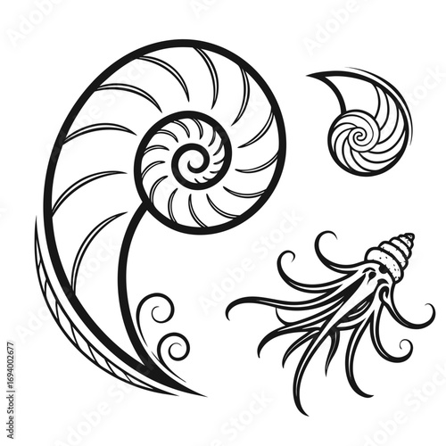 Abstract spiral shell and creature silhouettes swirl nautilus