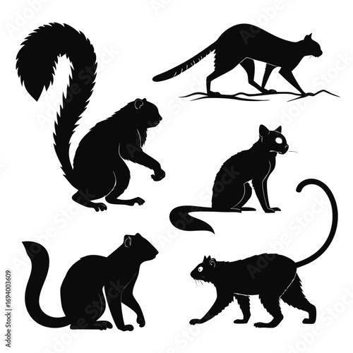 Black animal silhouettes with bushy and curved tails squirrel