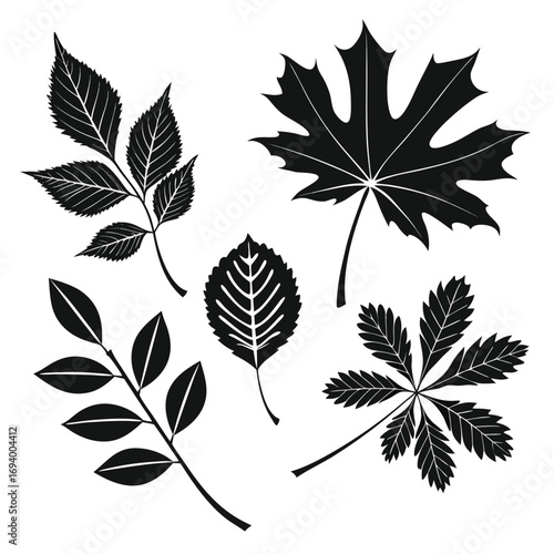 Black leaf silhouettes on white background nature
