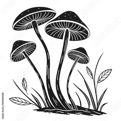 Black mushrooms growing in grass fungi nature