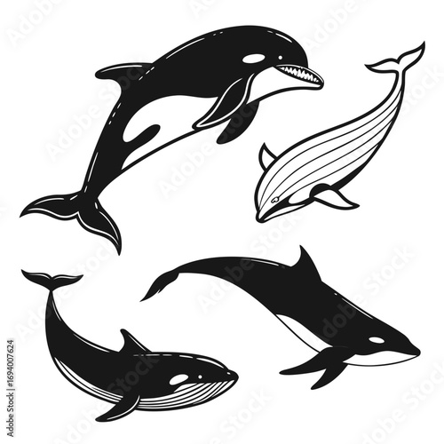 Four black and white whale and dolphin silhouettes orca killer whale