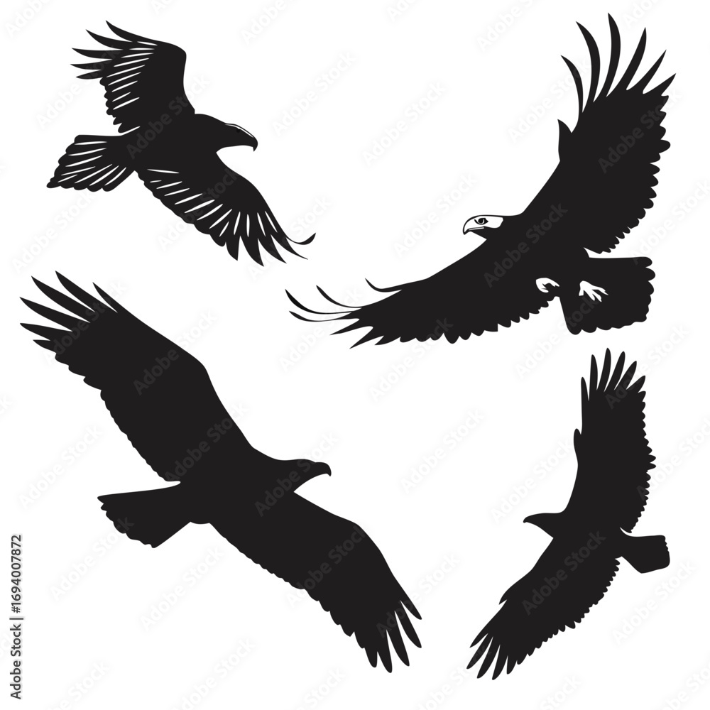 Fototapeta premium Four black eagle silhouettes in flight bird flying