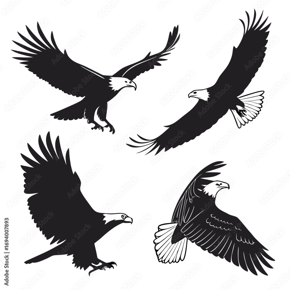 Fototapeta premium Four black eagles in flight and diving poses bird birds