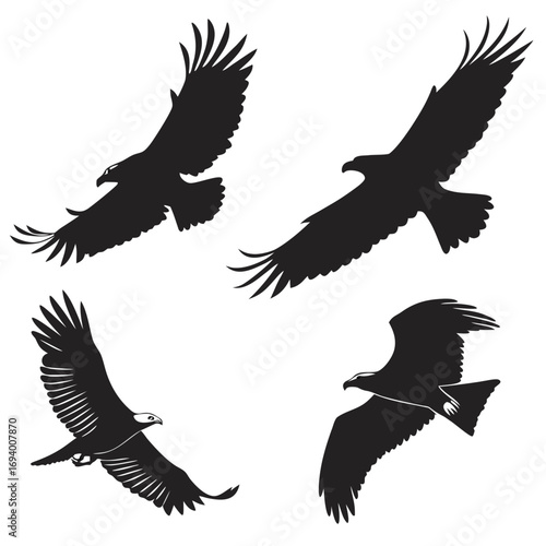 Four black eagle silhouettes in flight bird flying
