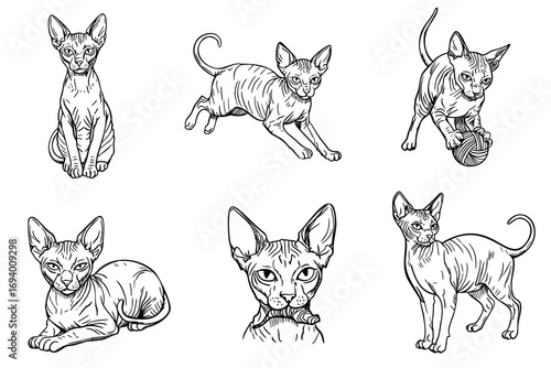 Six sketches of playful Sphynx cats in various poses. The cats exhibit distinct features like hairlessness and large ears, showcasing their playful nature.